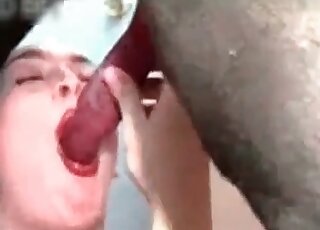 Chick swallowing puppy's juicy jizz