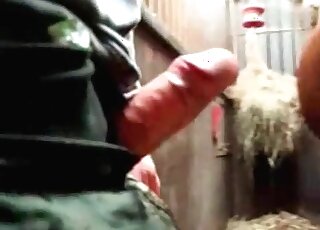 Pup is giving a genuinely decent penis massage