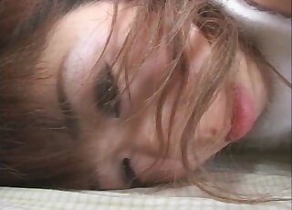 A sensual girl is sucking a dog penis with pleasure