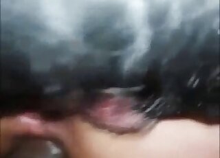 Zoophilic lady gets fucked by her lovely husband