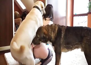 White beast and a good lady have fun on the camera