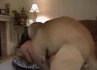 Gorgeous glamorous teen fucked by a nice doggy