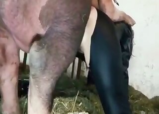 Brunette fucked anally by a twisted beast