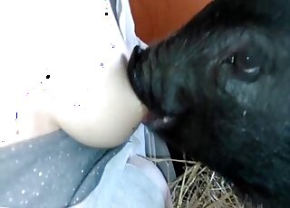 Nipple play has never been this taboo