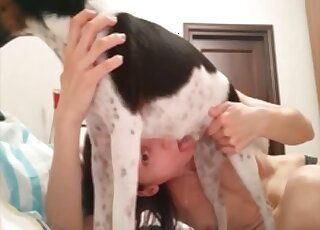 Brunette is ready to suck on a dog's naughty penis