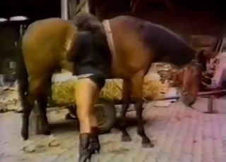 Zoo sex with German retro sluts who fuck horses