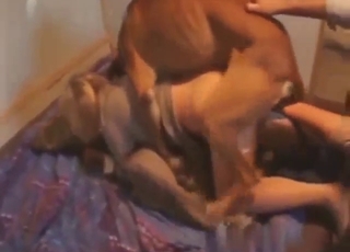 Blonde MILF couldn't resist this horny beast