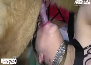 Kočka s obarvenými vlasy si tady šuká černého psa