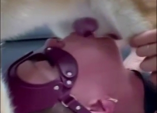 Dáma v punčochách šuká svou oblíbenou bestii