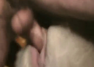 Following his lust with doggystyle pony gape