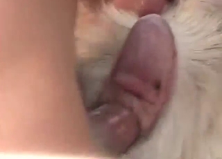 The deep gaping he gives gets him so horny