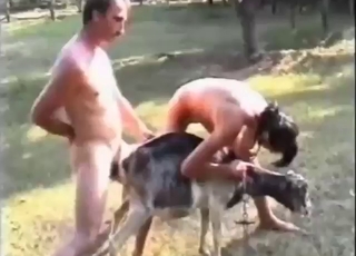 Zoo XXX with a dude blasting animal pussy first