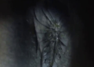 Dude plays with a mare's wet pussy as well