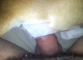 رجل يستخدم قضيبه ليجعل هذا الكلب يصرخ