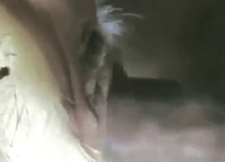 Goat fuck movie with a guy who puts it in deep