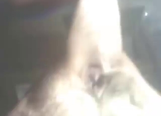 And deserved fuck for a dog that is always wet