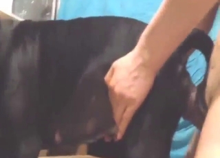 Resist the urge to fuck YOUR dog next, folks