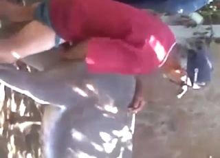 Horny zoophile guy gets fucked by a Donkey