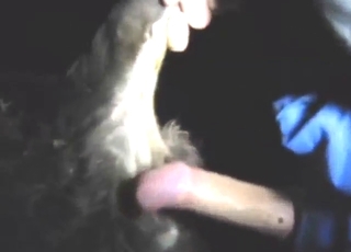 Cow featured in zoo XXX with hot screwing