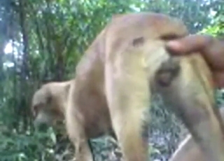 With big dick inside, this dog moans loudly