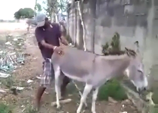 Donkey hole getting fucked from behind, too