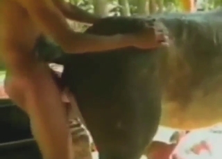 Donkey fuck with a bunch of crazy thrusts