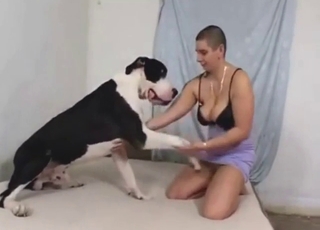 Plešatá dáma se chystá ošukat svého sexy mazlíčka