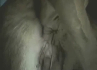 Cow shows how it shits and it's so fucking yummy