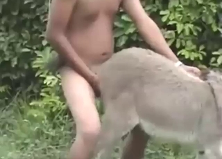 驴子在户外被从后面操
