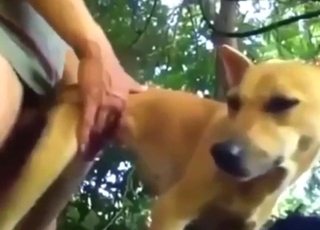 Chlápek si zezadu šuká hnědou bestii