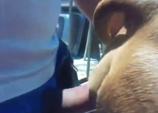 Cadela safada recebendo pau duro por trás