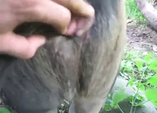 Zasít sexy vzhled s detailním prstokladem, sténáním