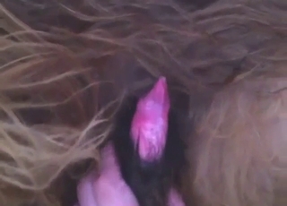 Detailní záběr s kloboukem mutta vypadá tak sexy