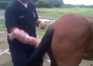 Chlápek v zoo pornu s pikantním zvratem pěstí na klisnu