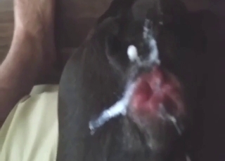 Výstřik po divokém souloží s submisivní děvkou