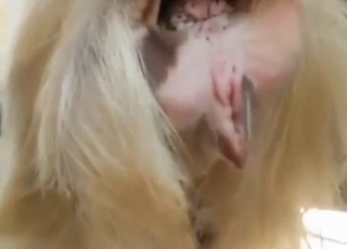 Sexuální barbarství s chlapem, který zírá na zvířata