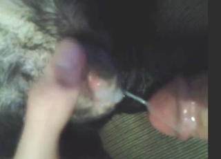 Porno se sodomií s vytahováním a sdílením spermatu