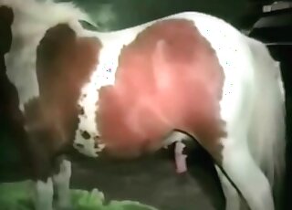 Hardcore pony fucked her hole on camera