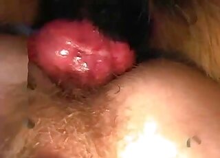 Nasty as freaking hell bestiality XXX session