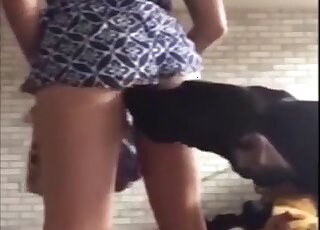 Slender girl in a sexy dress likes her doggy