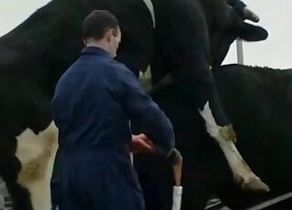 Sexy animals get to showcase their sexiness