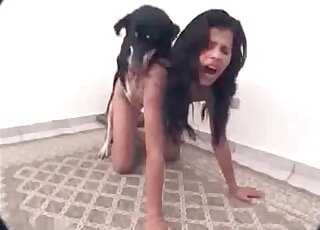 Dirty-ass doggo screwing that narrow hole here