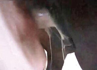 Twisted, animalistic action caught on cam