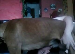 Blowjob scene featuring a good-looking gal