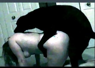 Pupper being as kinky as can be in a twisted video